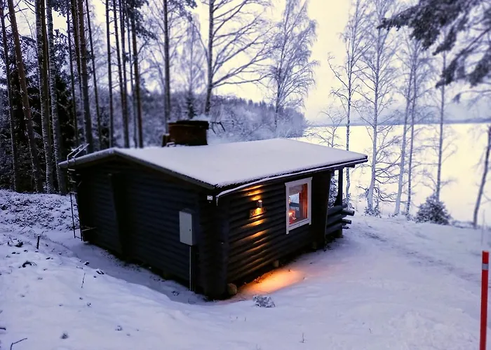 Moekki Salakka Raeaekkylae Pohjois-karjala Domek alpejski Nieminen (Eastern Finland)