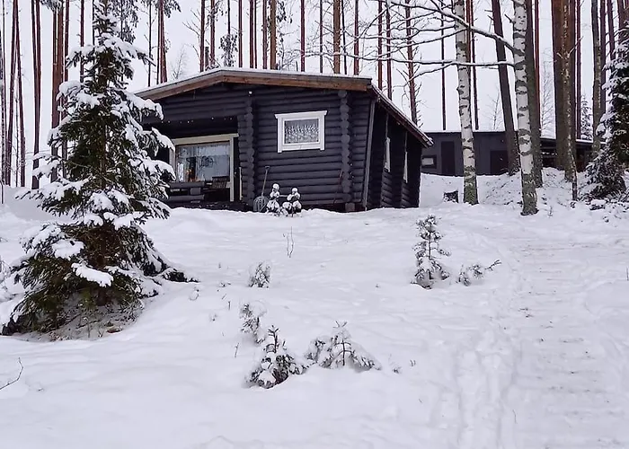 Moekki Salakka Raeaekkylae Pohjois-karjala Domek alpejski *