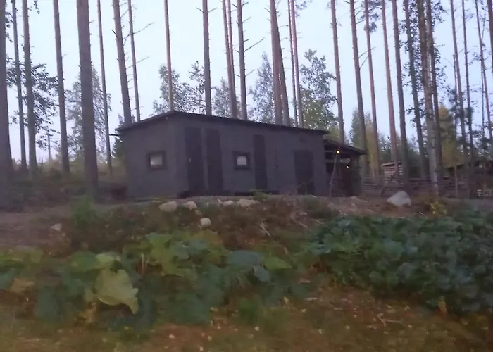 Moekki Salakka Raeaekkylae Pohjois-karjala Domek alpejski *