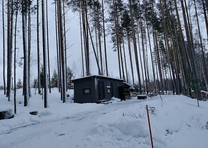 Moekki Salakka Raeaekkylae Pohjois-karjala Nieminen (Eastern Finland)